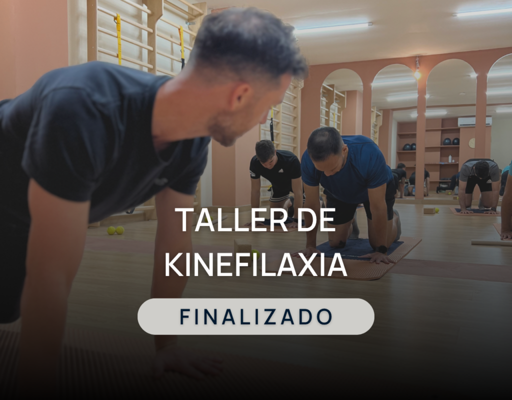 Taller kinefilaxia